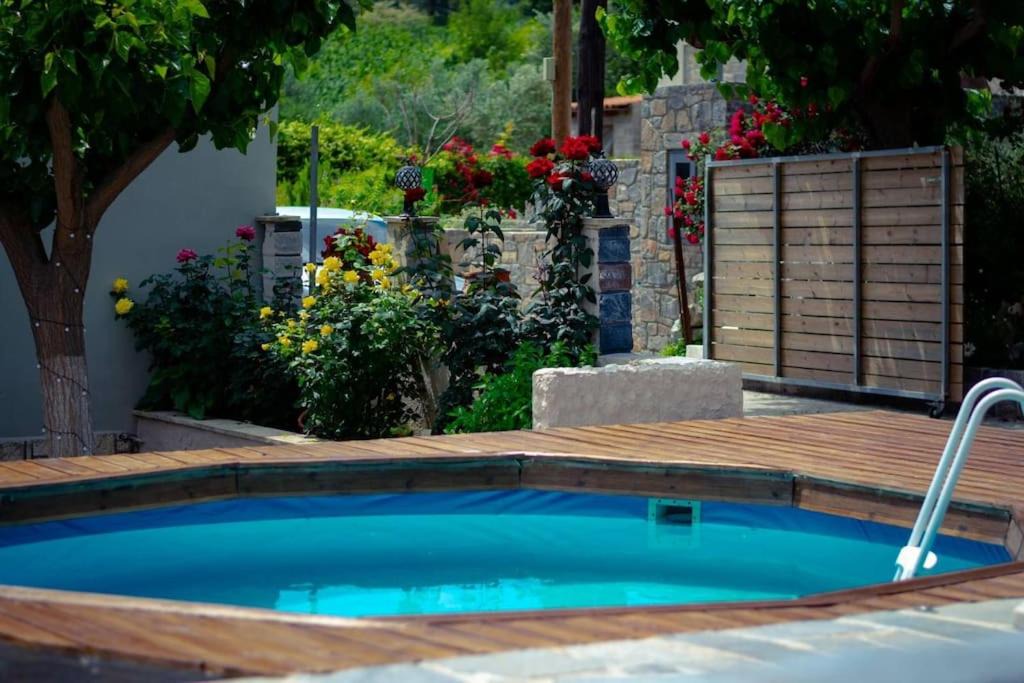 Kamariotis House | Μουριές