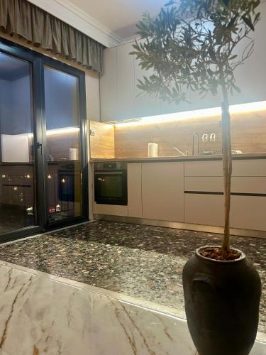 Kavala Apartment | Апартамент - Маслината