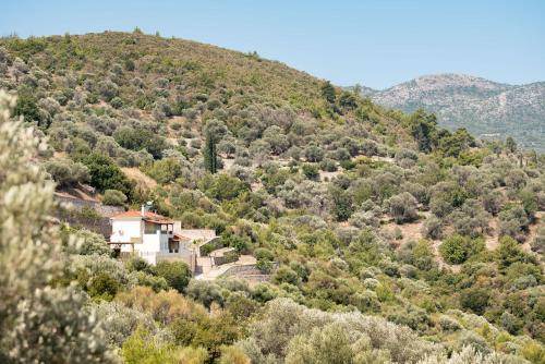 Pythagorion Villa | 140 m² Villa ∙ 3 bedrooms ∙ 7 guests