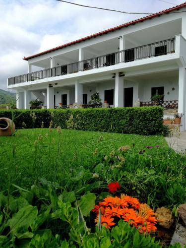 Kato Vrontou Bed & Breakfast | 20 m² Bed and breakfast ∙ 3 guests