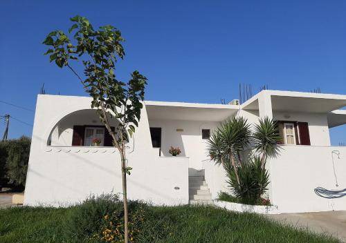 Plaka Apartment | 30 m² Apartment ∙ 4 guests