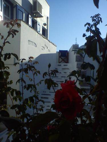 Amorgos Apartment | 30 m² Serviced apartment ∙ 5 guests