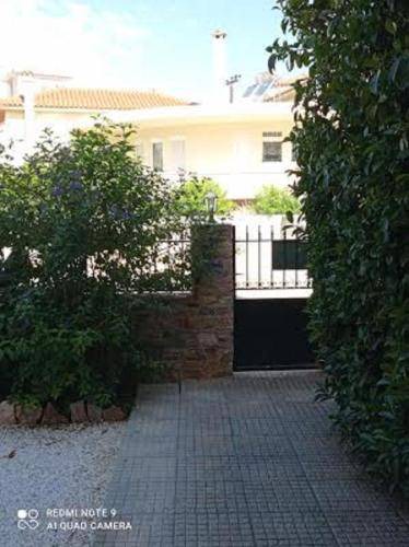 Markopoulon Apartment | 37 m² Apartment ∙ 4 guests