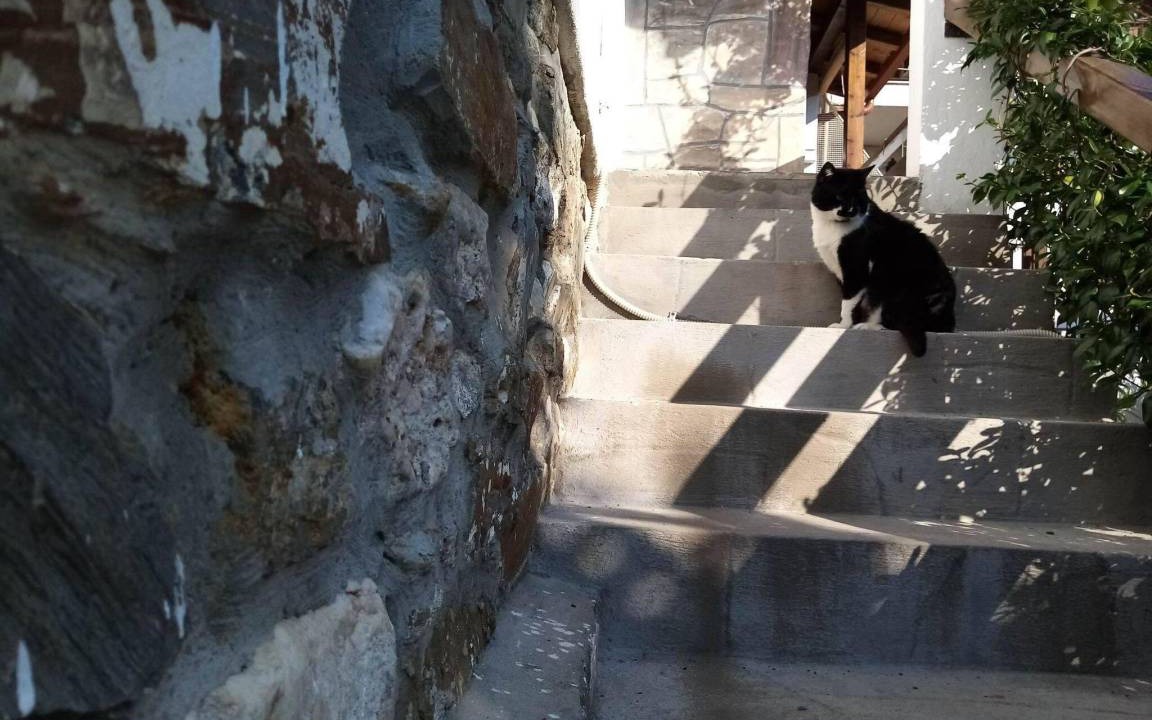 Agios Nikolaos Apartment | 60 m² Apartment ∙ 2 bedrooms ∙ 5 guests
