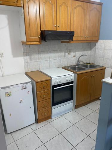 Ioannina Apartment | Alexandros