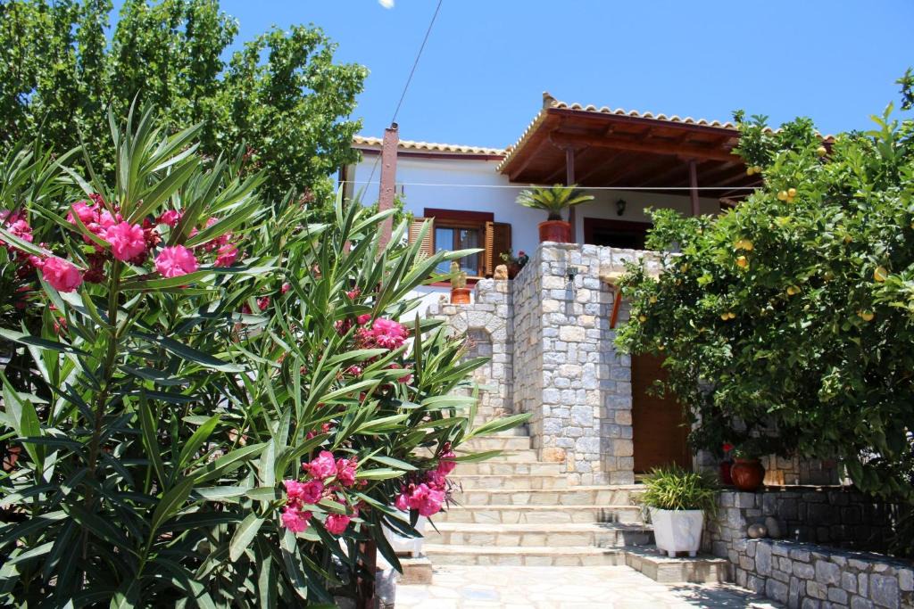 Aloizianika House | AMANDA