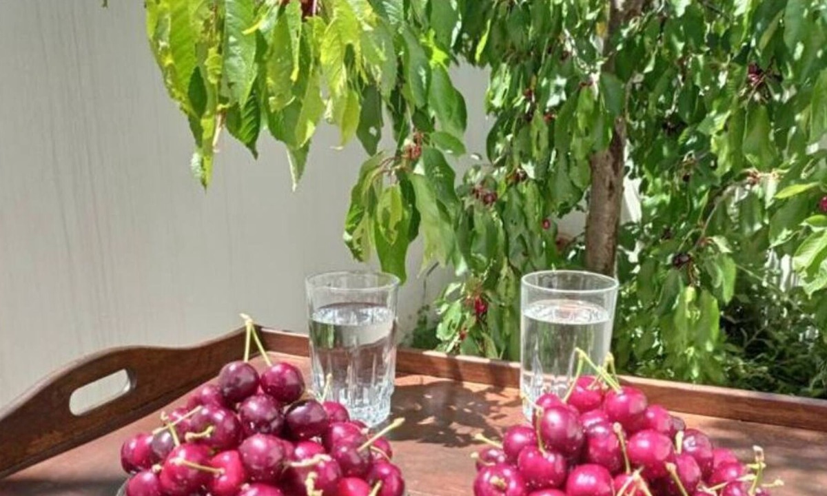 Gerakari Apartment | Apartment 'Cherry House' with Private Terrace and Wi-Fi