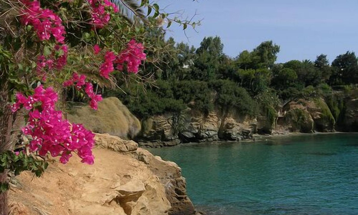 The Beach | Agia Pelagia