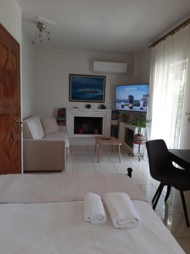 Karpenisi Apartment | Aura