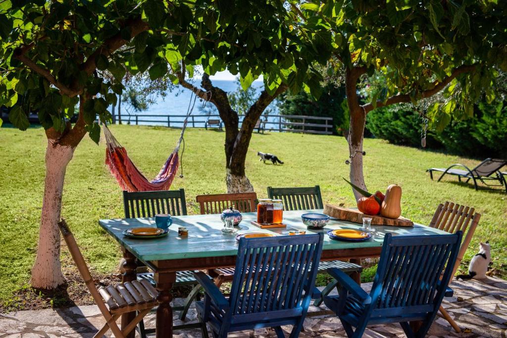 Agios Matthaios Villa | Beachfront Villa Meliti