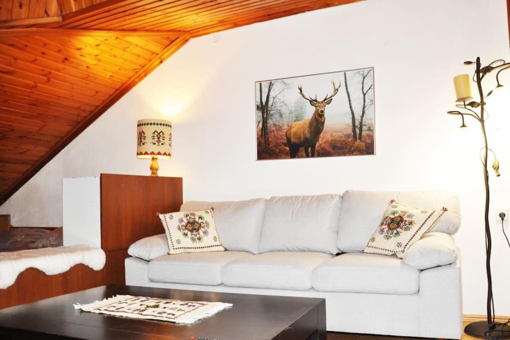 Metsovo Apartment | Cozy Loft with Fireplace & View