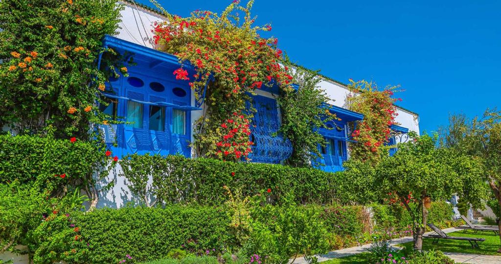 Sidi Bou Said Hotel | Dar Said