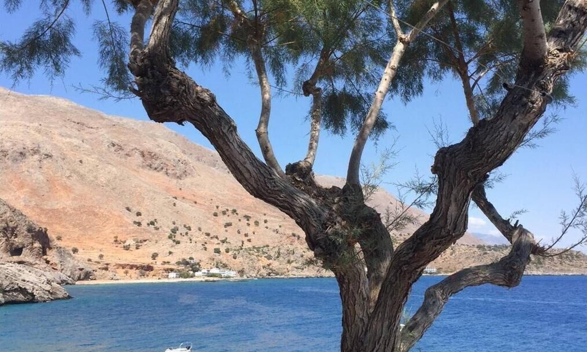 Loutro Bed & Breakfast | Daskalogiannis Hotel - Unforgetable Memories In Majestic Loutro