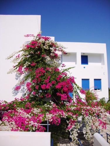 Agios Emilianos Apartment | Emilianos Studios 103