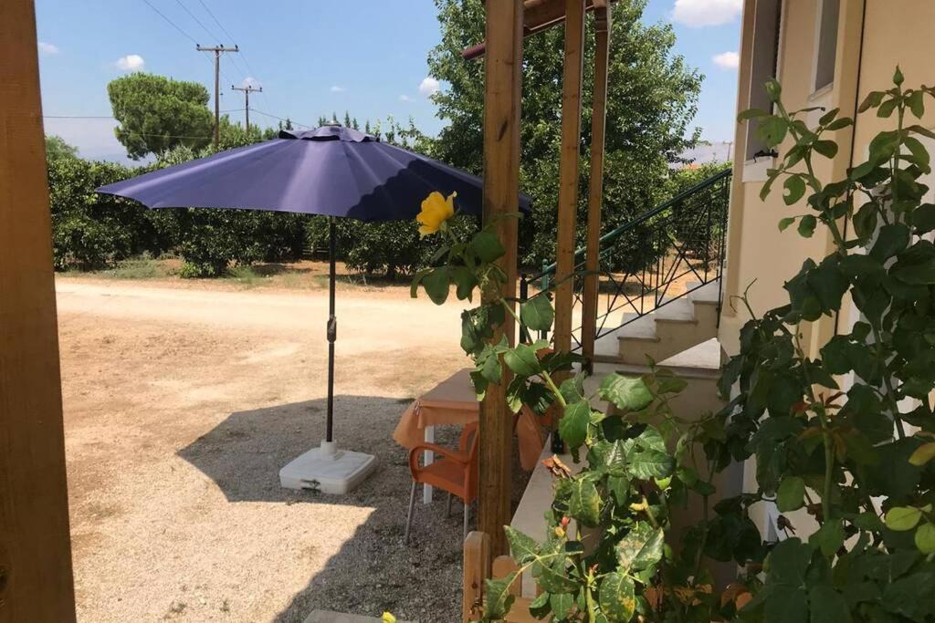 Nafplio Apartment | Eugenia' s apartment