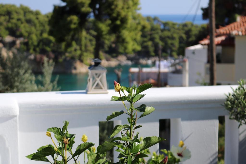 Votsi House | Evilio
