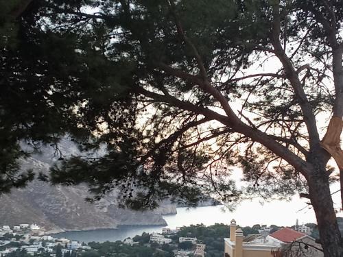 Fantasia Villas | Kalymnos