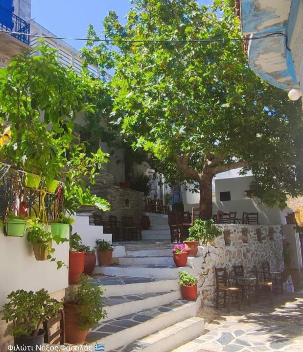 Filoti House | Fasolas square studio 15m2 is located 30 stairs up from the main road and it is in the old market fasolas and next to the museums