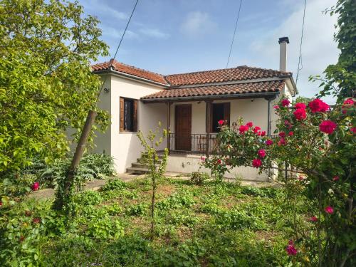 Argalasti House | Feli's country house