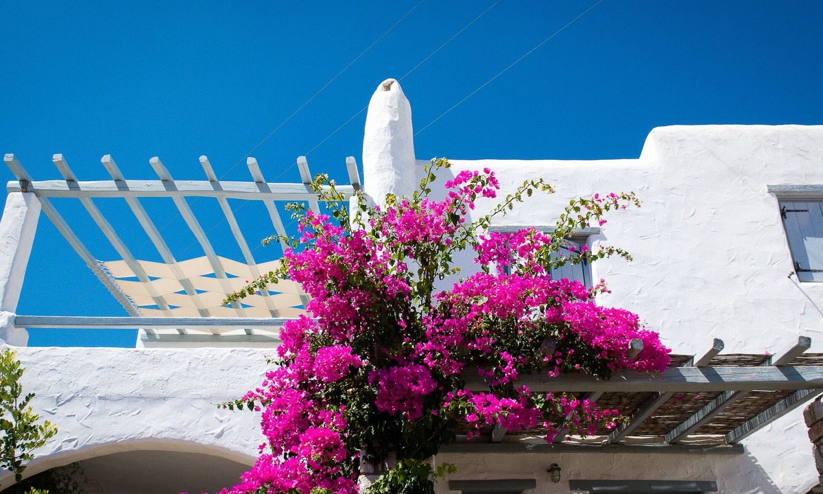 Drios Apartment | Gorgeous 2 bedroom apartment with sea views in Drios, near Golden Beach.
