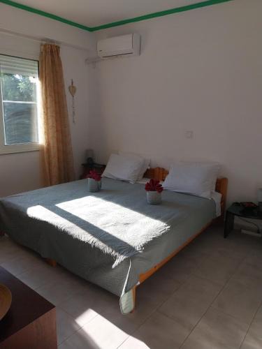 Ano Chalikas Apartment | Green Living