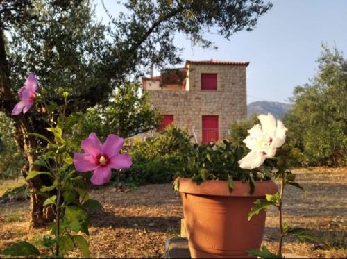 Riglia House | Helios-Selene Villa