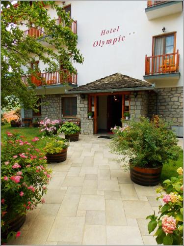 Metsovo Hotel | Hotel Olympic