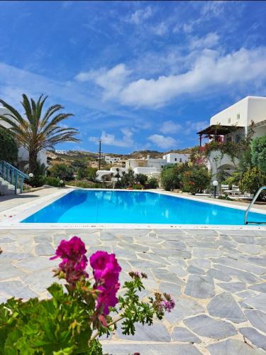 Ornos House | ILIOS COZY POOLHOUSE MYKONOS