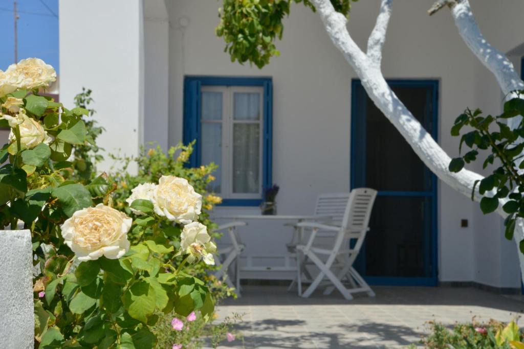 Tripiti House | IRINI`S HOUSE