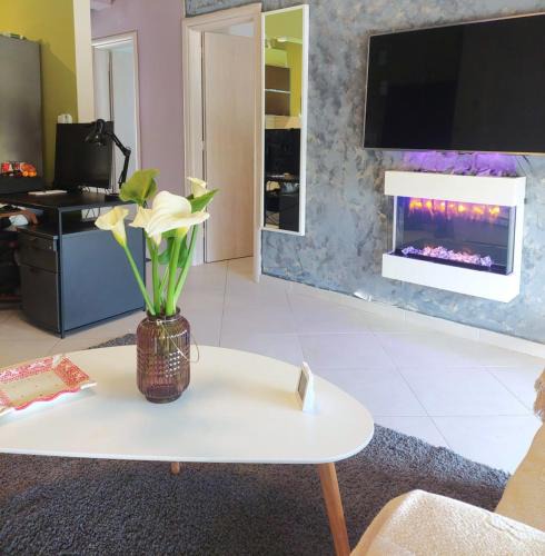 Andravida House | Jimvila2family apartment wi-fi 500 we accept dogs