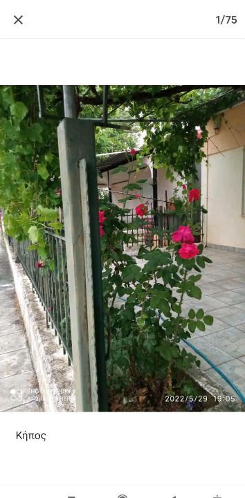 Kilkis Apartment | Kolhida home