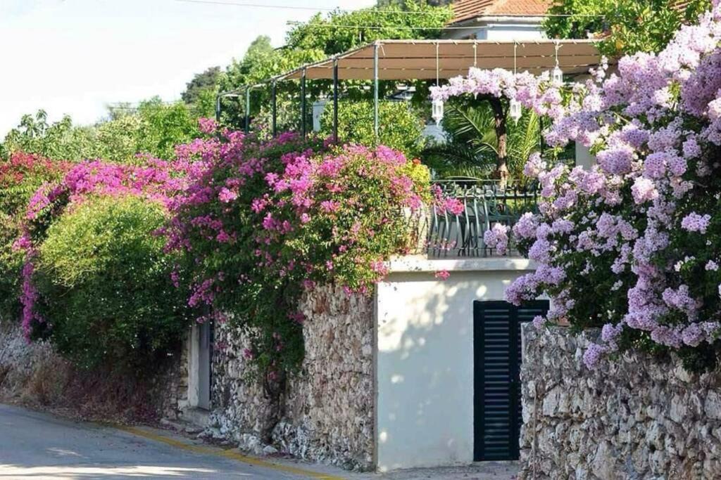 Aetos House | Konstantinas House, a touch of nature & sea