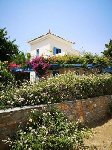 Mpatsi Villa | Mariella Sea