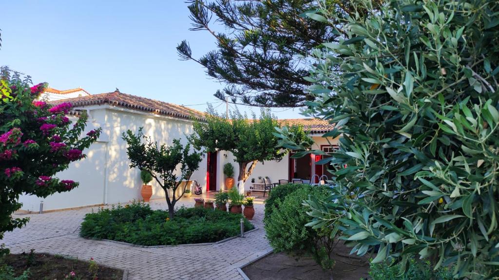 Karlovassi Villa | Mediterranean house with beautiful garden