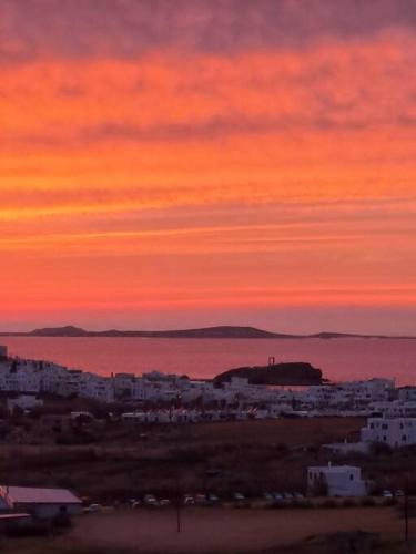 Naxos Town Apartment | Naxian Sofias garden
