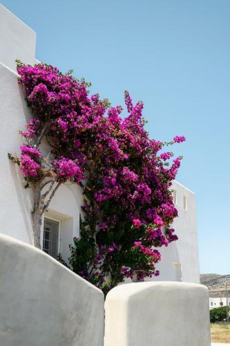 Kastraki House | Naxos Kastraki Homey Villa with Sea View