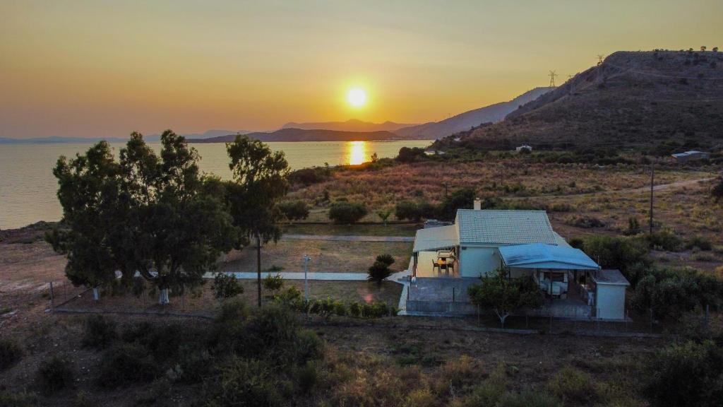 Filiates House | O κήπος της Εδέμ/Garden of Eden