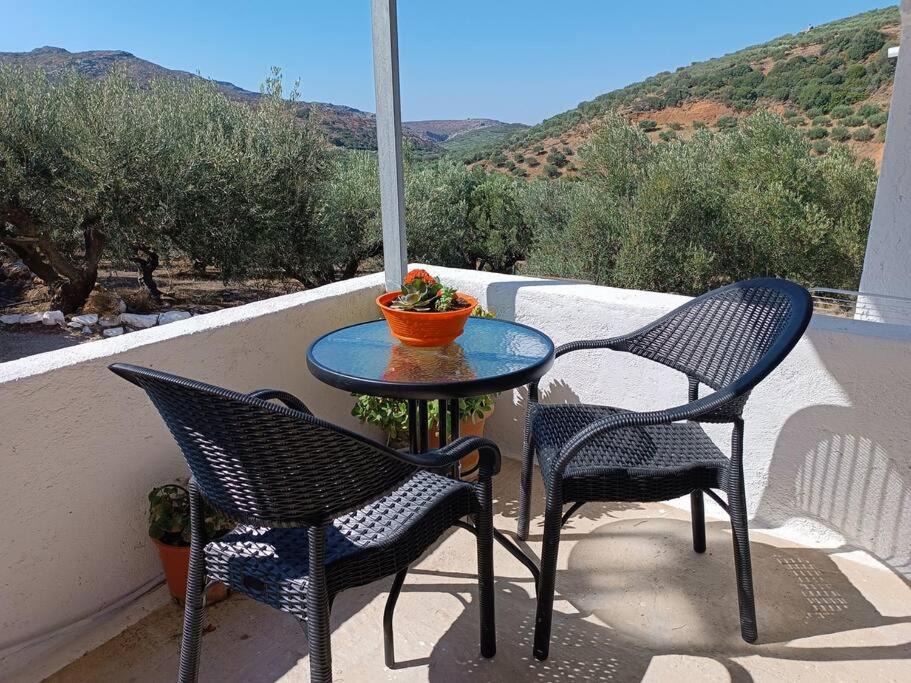 Azokeramos Apartment | Olive metohi return to nature