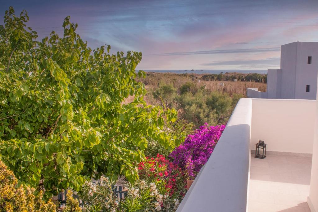 Plaka Villa | Orkeli casa