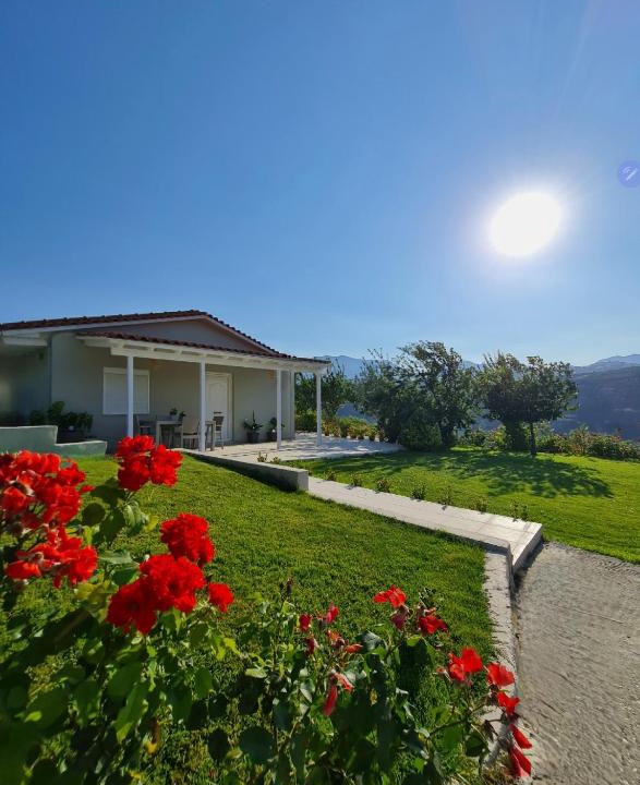 Dhafnes Villa | Ornament: Infinite Nature Villa