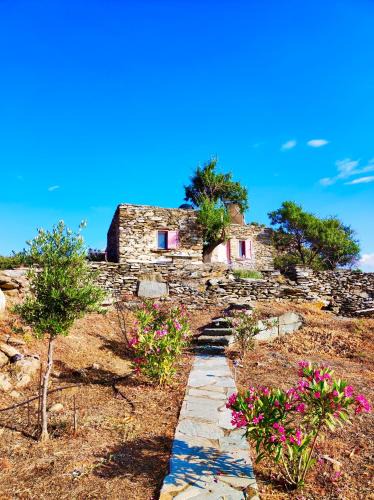 Kea House | OWL’S NEST/THE PINK COTTAGE