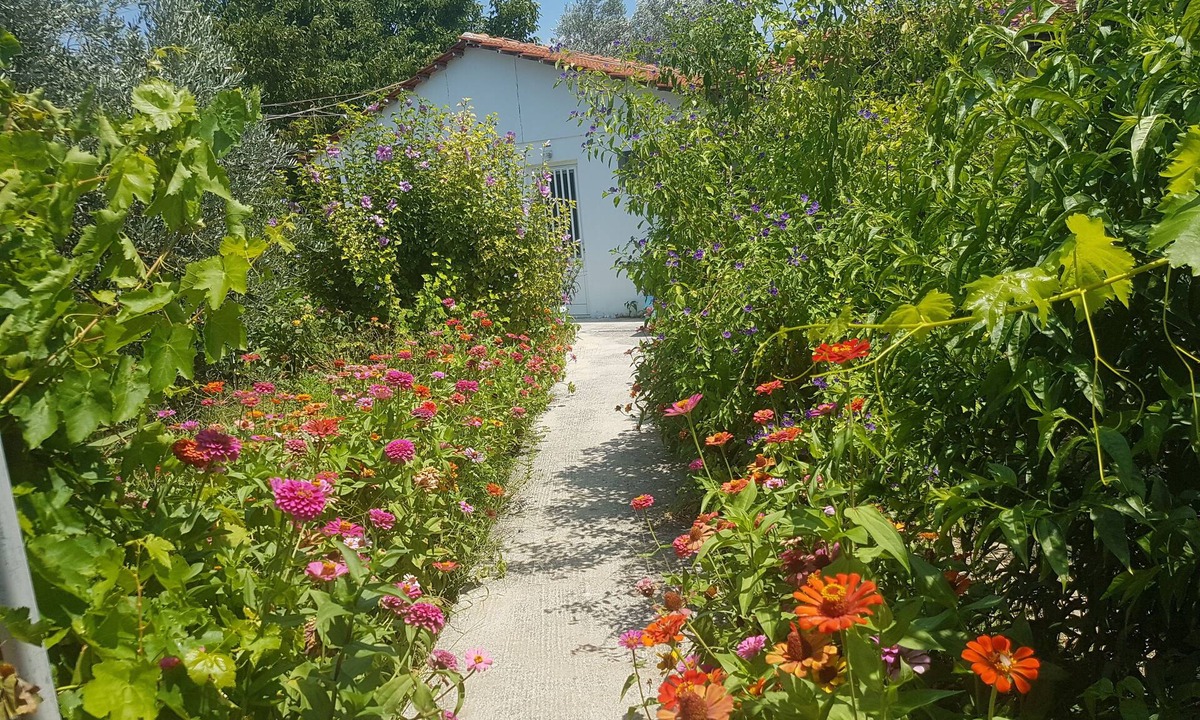 Kolymbia House | Pension Zoi