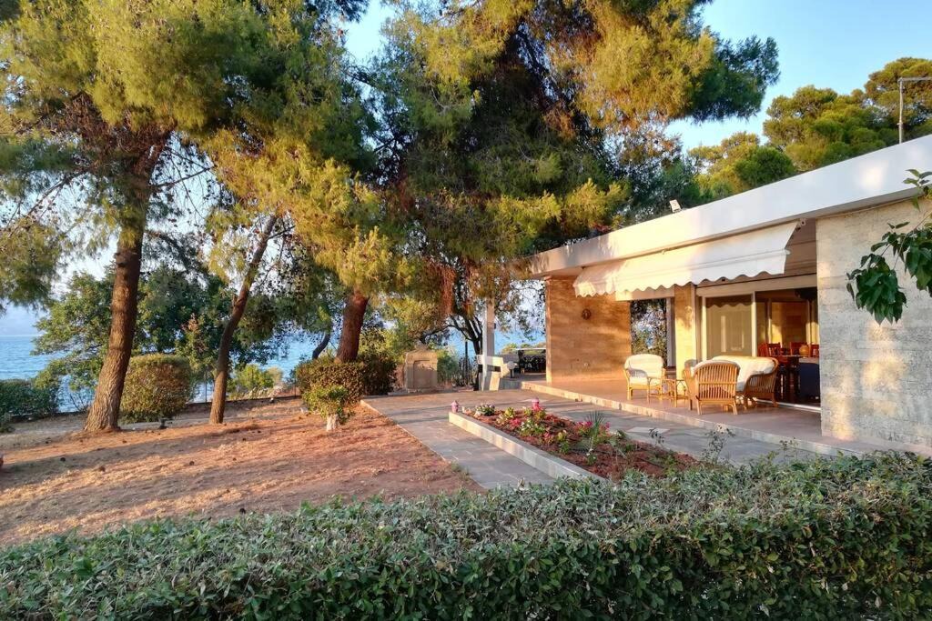 Chalcis Villa | Pine tree beachfront villa