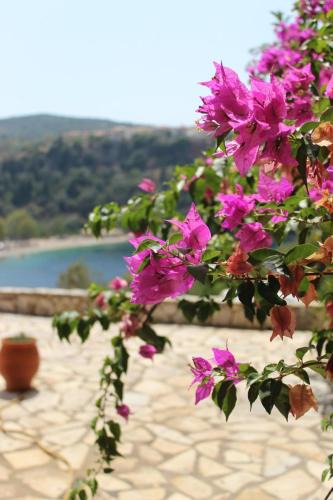 Spartochori Apartment | Rocka View