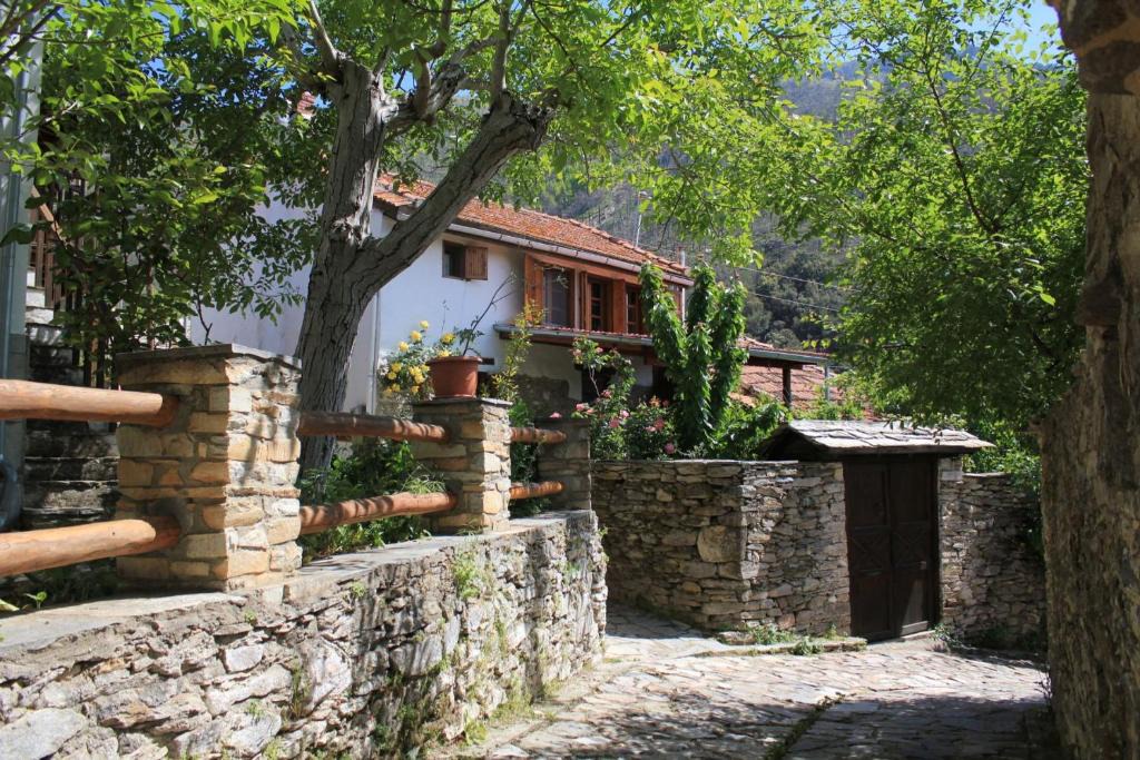 Kazaviti House | Sol Invictus - Lore House