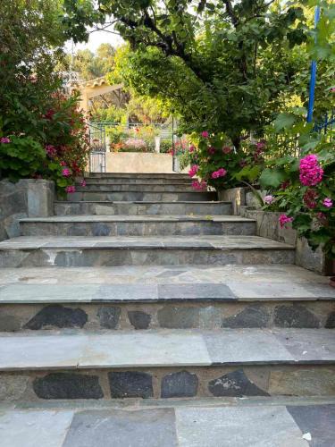Skala Apartment | Sotiria