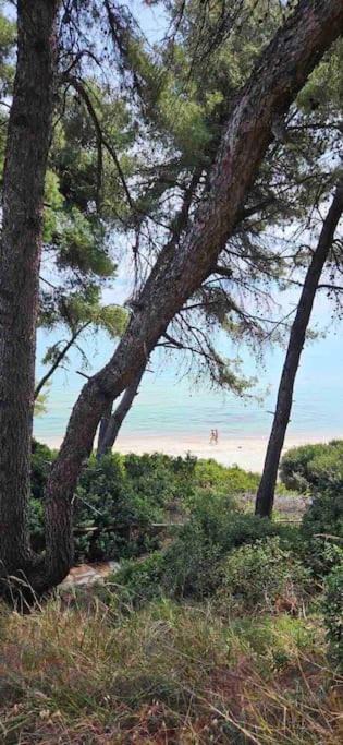 Kriopigi Villa | Sunny Seaside Villa-90 m from beach
