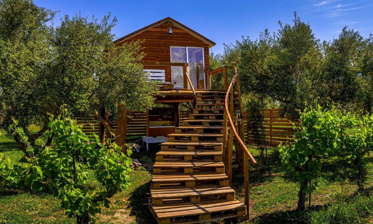 Vanato House | Terra Vine Collection - Dream Catcher