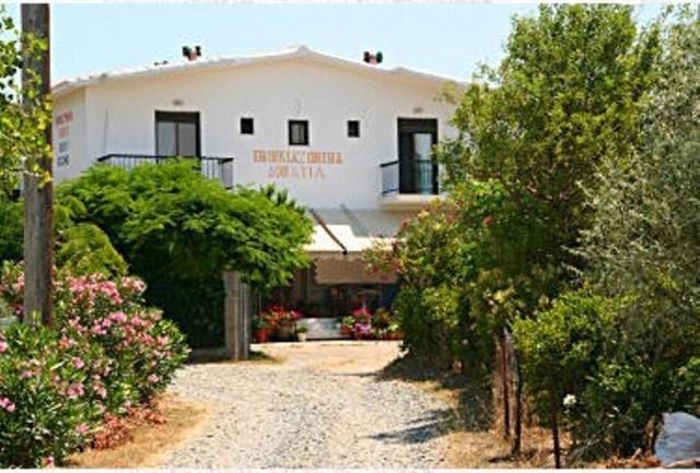 Kamariotissa House | Thanasis Matsas Rooms