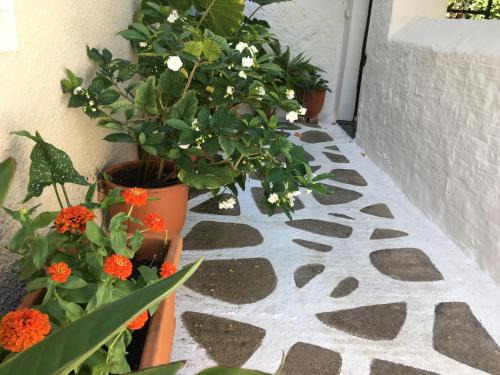 Toula | Spetses